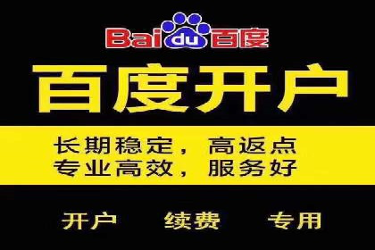 不同平台下的关键词竞价排名策略比较与案例分析