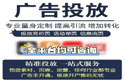 百度推广代理的投放策略及效果评估案例